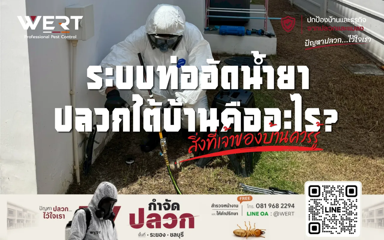 เจ้าหน้าที่ WERT กำลังตรวจสอบหัวท่ออัดน้ำยาปลวกบริเวณข้างบ้านก่อนให้บริการป้องกันปลวก