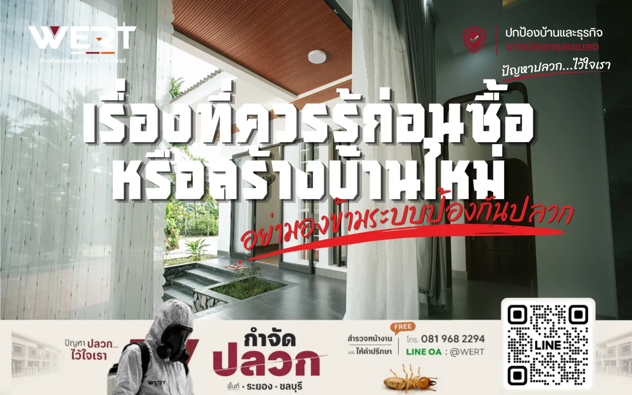 ภาพภายในบ้าน เรื่องที่ควรรู้ก่อนซื้อหรือสร้างบ้านใหม่ อย่ามองข้ามระบบป้องกันปลวก