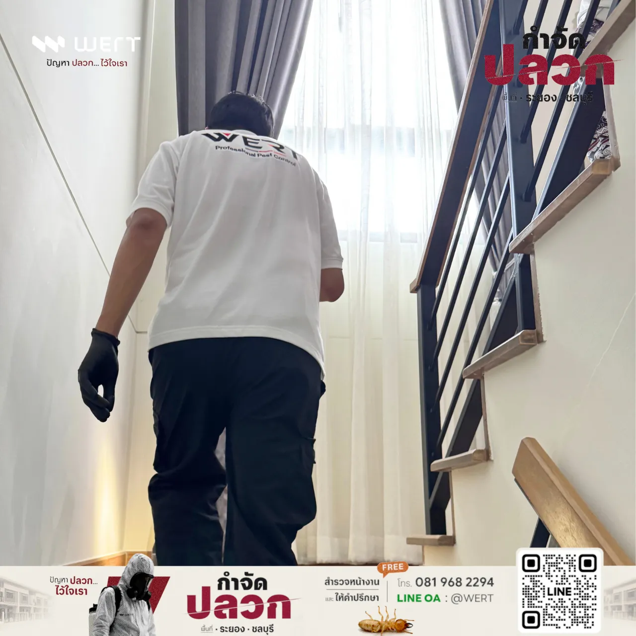 ช่างเดินตรวจบันไดภายในบ้านหาร่องรอยปลวก