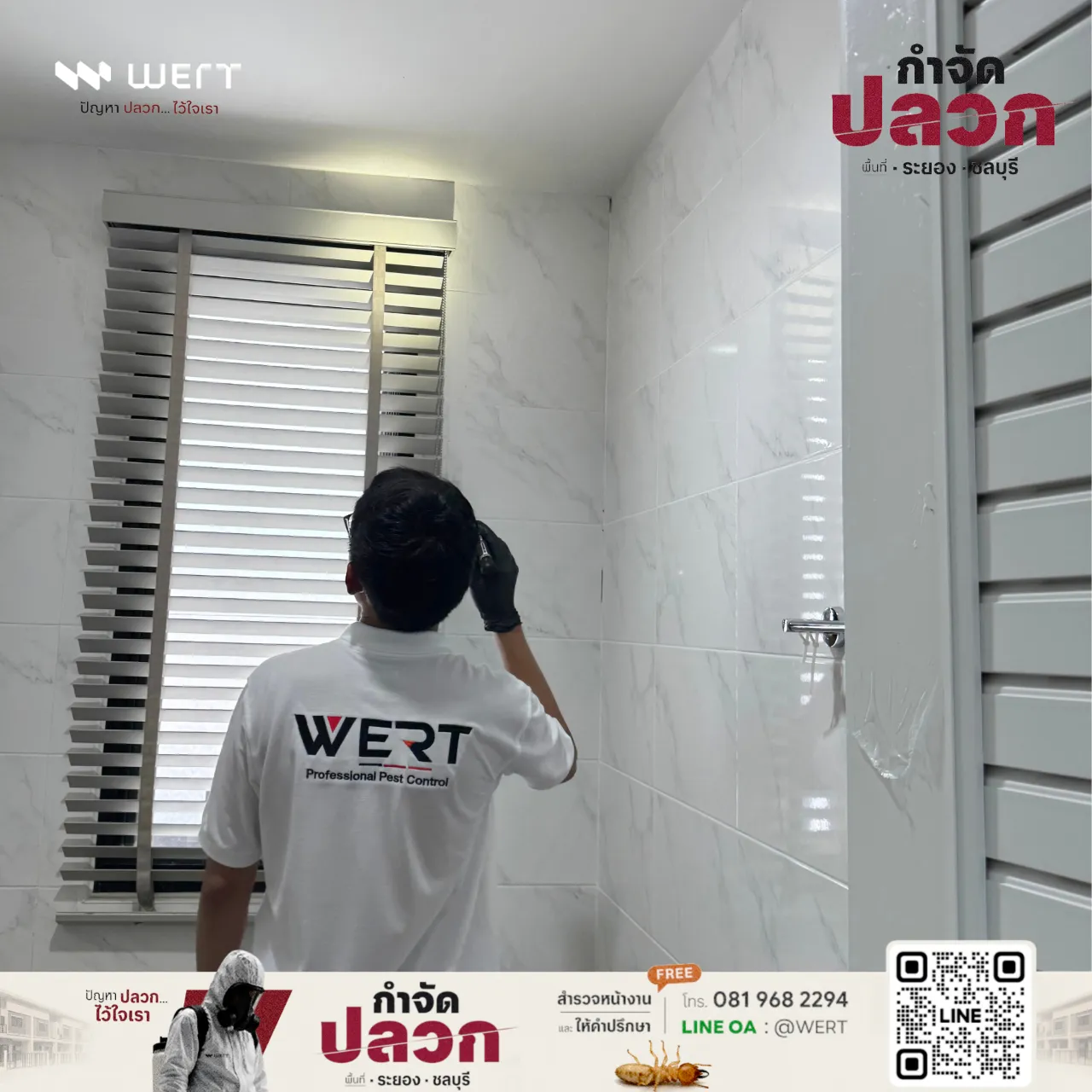 ตรวจวงกบหน้าต่างและฝ้าห้องน้ำหาร่องรอยปลวก