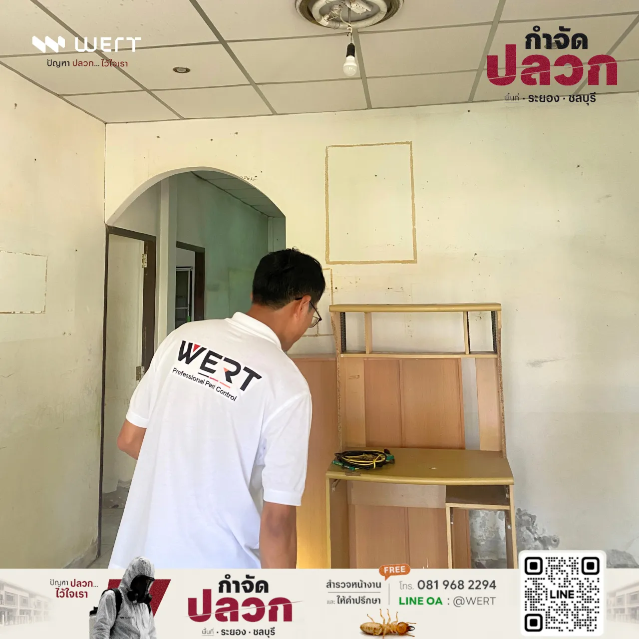 สำรวจปลวกห้องโถง