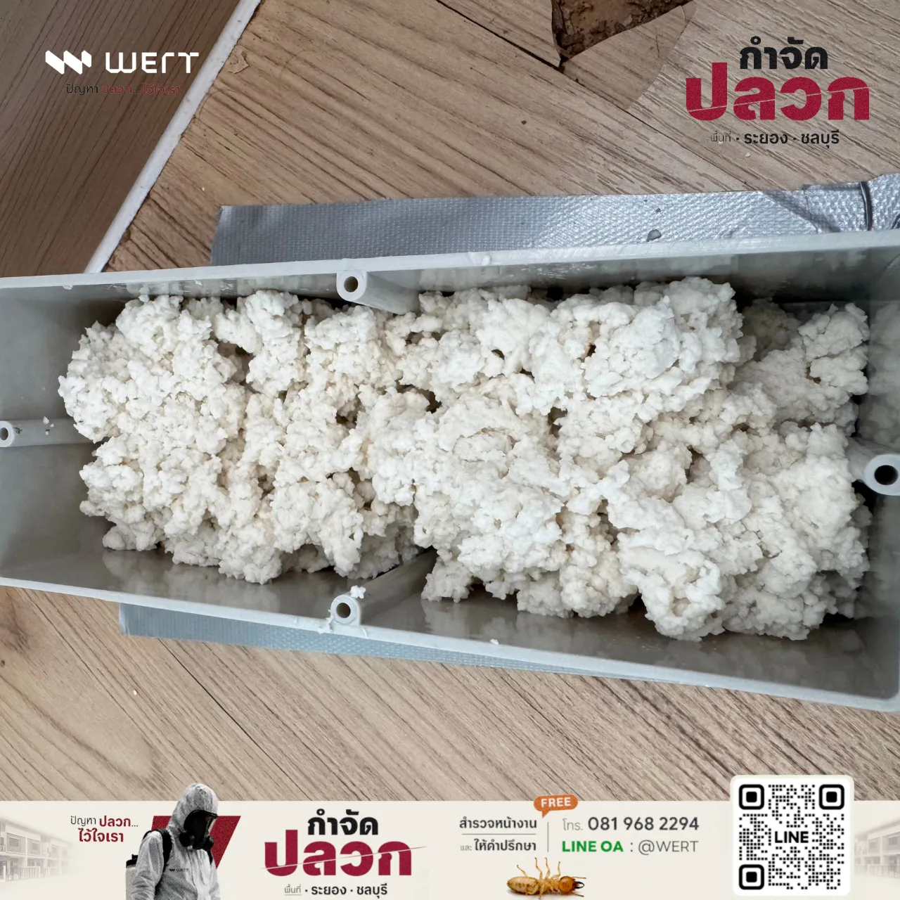 เหยื่อสีขาวเติมในกล่องสถานีบนพื้นไม้ห้องนอนใหญ่