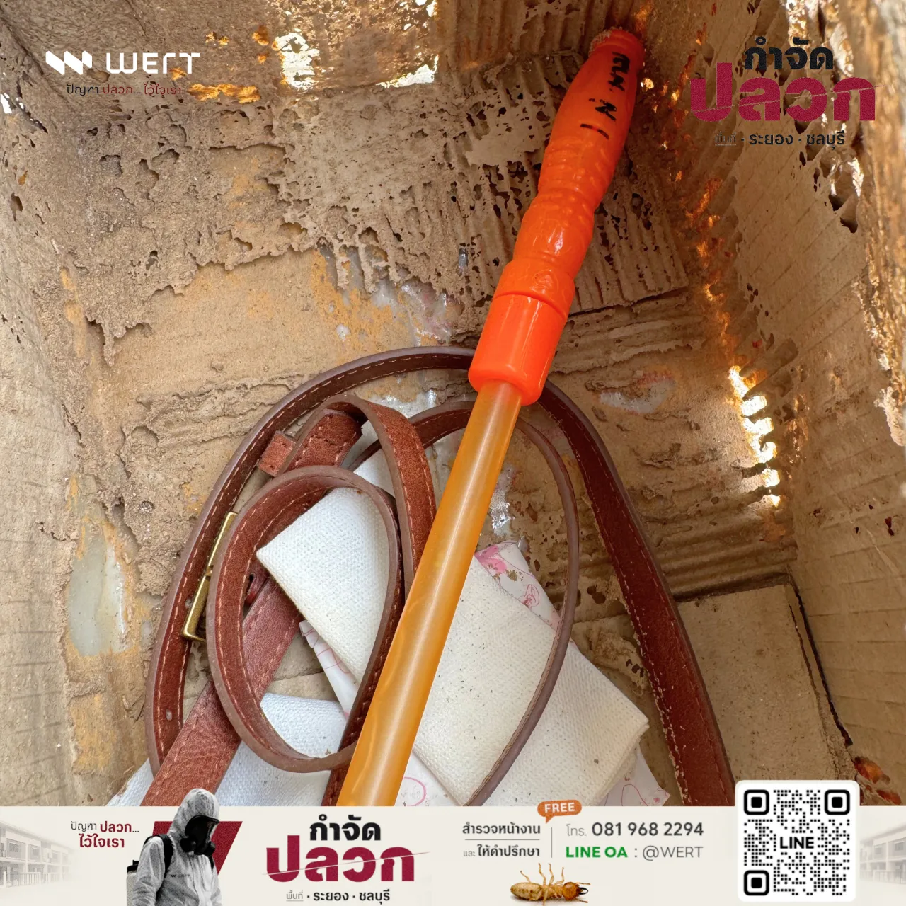 กล่องกระดาษที่มีร่องรอยปลวกกัดจนเห็นลอนกระดาษ ด้านในมีสายกระเป๋าและผ้า