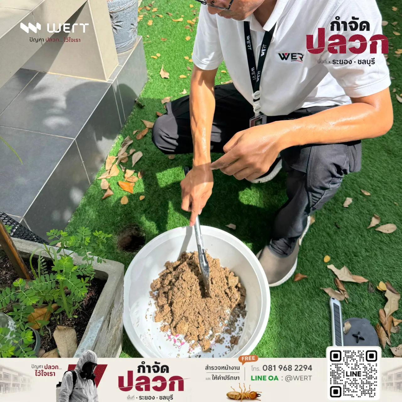 ดินที่ขุดออกอยู่ในกะละมัง ข้างหลุมสำหรับฝังสถานีบนหญ้าเทียม