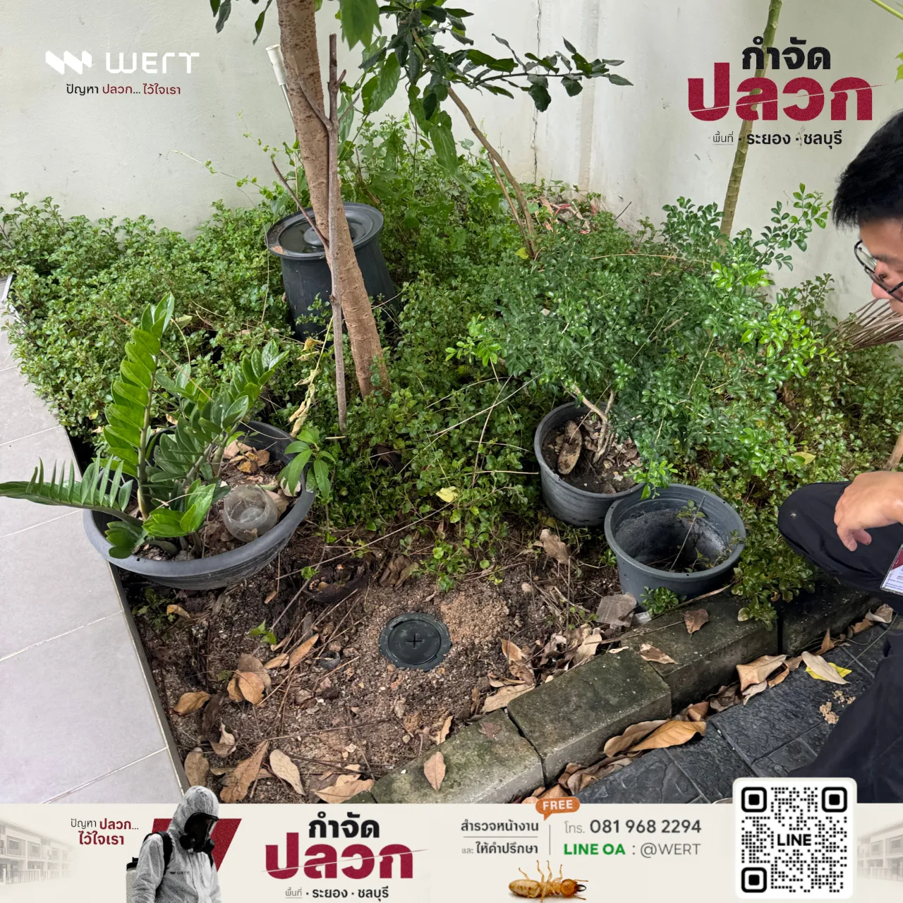 สถานีเฝ้าระวังปิดฝาแล้วในแปลงดินระหว่างกระถางต้นไม้
