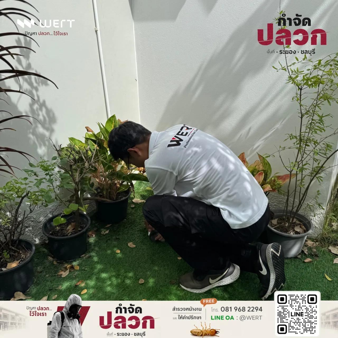 ช่างนั่งตรวจมุมหญ้าเทียมระหว่างกระถางต้นไม้ชิดผนัง