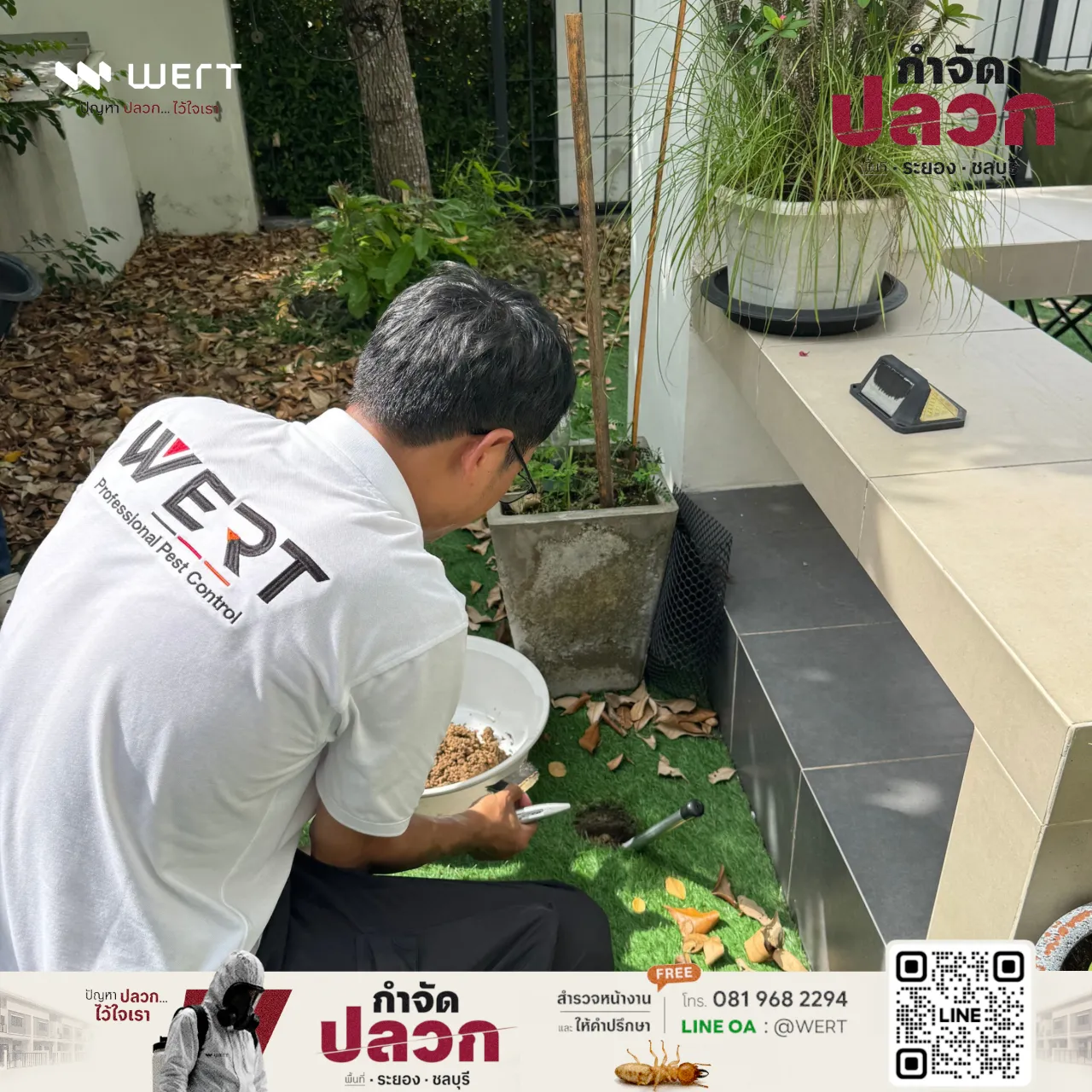 ช่างขุดหลุมบนหญ้าเทียมข้างกระถางปูน โดยมีกะละมังรองดิน
