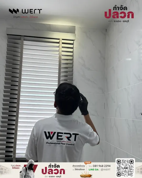 ช่าง WERT หันหลังตรวจบริเวณผนังและหน้าต่างบานเกล็ด ภายในห้องที่ผนังปูกระเบื้องสีอ่อน